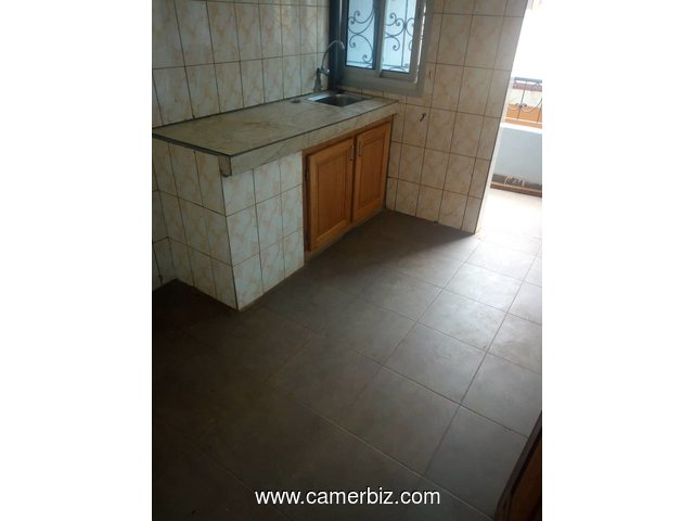 APPARTEMENT MODERNE A LOUER A NSIMEYONG - 4630