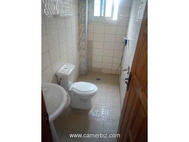 APPARTEMENT MODERNE A LOUER A TKC - 4632
