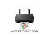 Imprimante Pixma Ts 304 Monofonctions - Jet D'Encre - Wifi - Noir - 4775