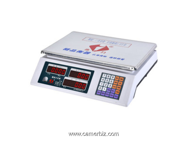 BALANCE DIGITAL PRICE COMPUTING SCALE - 4810