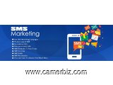 SMS MARKETING (Plateforme digitale d’envoi des SMS Professionnels et en masse) - 4858