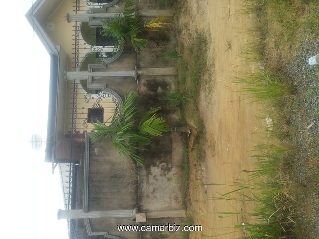 terrain titré de 500m² à Nkolbong - 5095