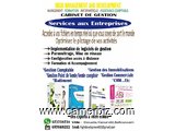 Services informatiques, Audit, Assistance,implementation Logiciel - 5334