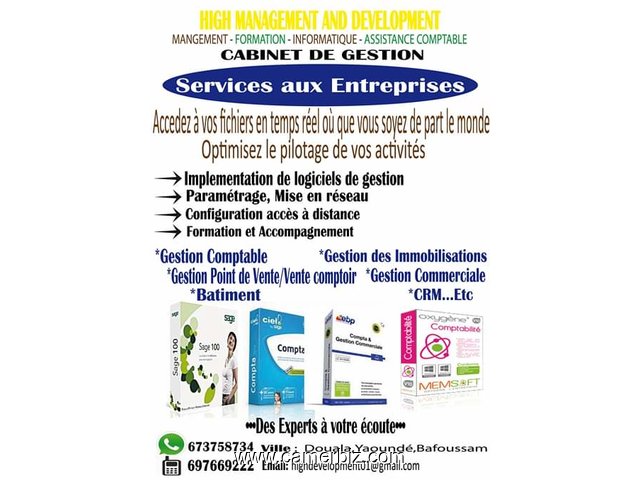 Services informatiques, Audit, Assistance,implementation Logiciel - 5334