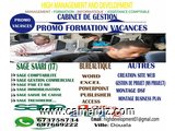 Promo formation informatique, Bureautique, Gestion/SAGE SAARI (i7) - 5335