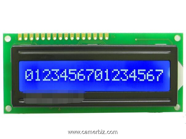 LCD 1601A Bleu - 5375