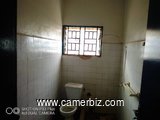 Appartement à louer à Yaounde - Tsinga - 5617