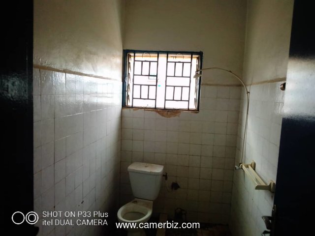 Appartement à louer à Yaounde - Tsinga - 5617