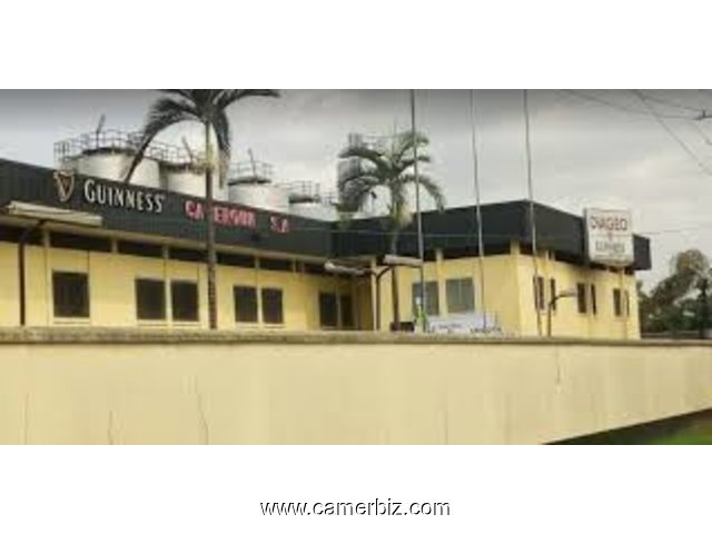 RESPONSABLE DES OPERATIONS COMMERCIALES chez DIAGEO GUINNESS CAMEROUN à Douala - 5743