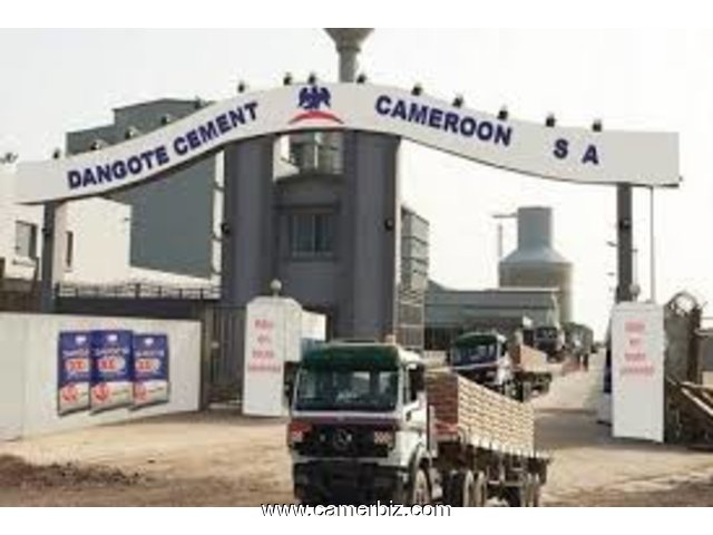 02 SALE OFFICERS chez DANGOTE CEMENT CAMEROON à Douala & Maroua - 5744