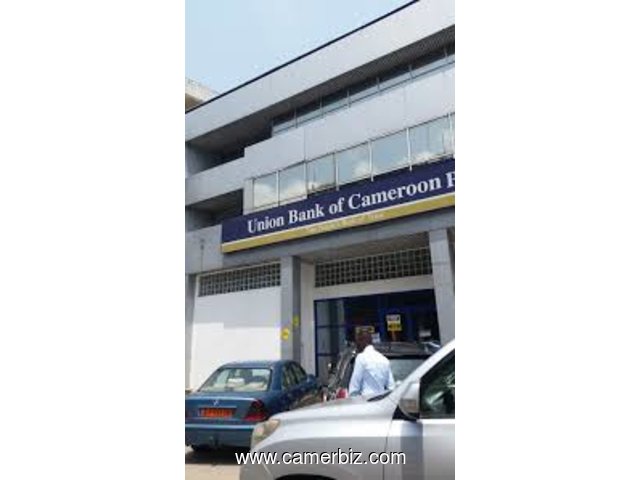 AUDITEUR INFORMATIQUE chez UNION BANK OF CAMEROON à Douala - 5746