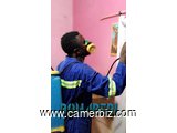 service de dératisation et Désinsectisation au Cameroun - 5748