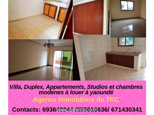 APPARTEMENT MODERNE A LOUER A MENDONG quartier residentiel 2-Chambres, salon, Cuisine, 2-Douches dan - 5809