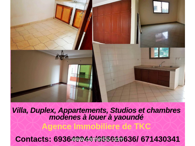 Service immobilier de luxe à Yaoundé contacts: (+237) 655010636 / 671430341 / 691274641 Villa, Duple - 5811