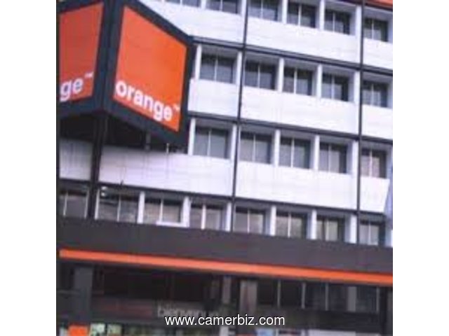 CHEF DEPARTEMENT TECHNIQUE ET INFORMATIQUES chez ORANGE CAMEROUN à Douala - 5827