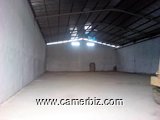Entrepôts 1000m2 en location à Douala - 5839