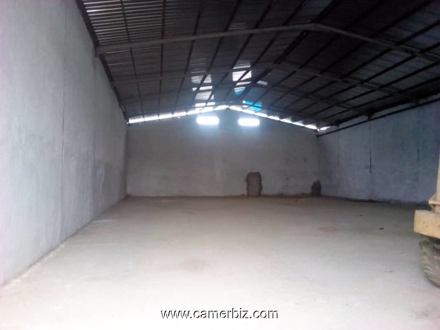 Entrepôts 1000m2 en location à Douala - 5839