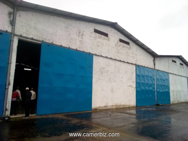 Entrepôts 1000m2 en location à Douala - 5839