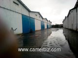 Entrepôts 1000m2 en location à Douala - 5839