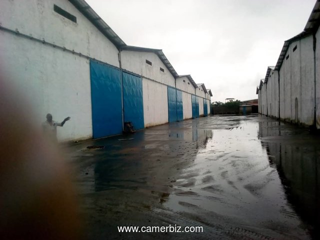 Entrepôts 1000m2 en location à Douala - 5839