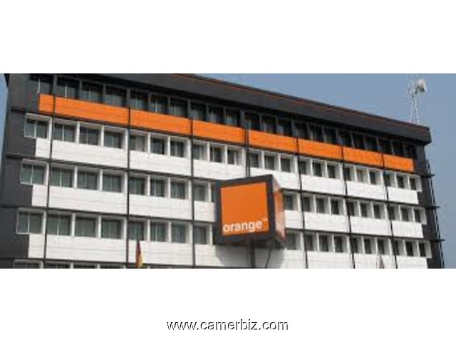 CADRE RESSOURCES HUMAINES chez ORANGE CAMEROUN à Douala - 5959