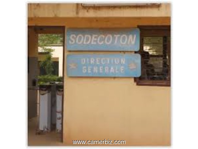 RECHERCHONS 12 CADRES GESTION ou INGENIEUR pour PROPOSITION LIBRE au RECRUTEMENT DIRECT à SODECOTON - 6043