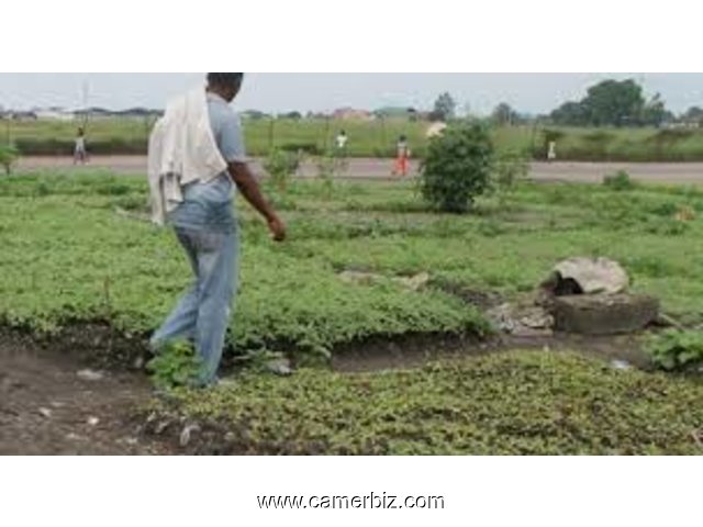 RECHERCHONS 03 INGENIEURS AGRONOMES pour PROPOSITION LIBRE à SOCIETE DE BANQUE AGRICOLE au CAMEROUN - 6083