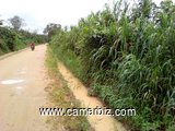 TERRAIN 2 HECTARES A BOMONO - 6118