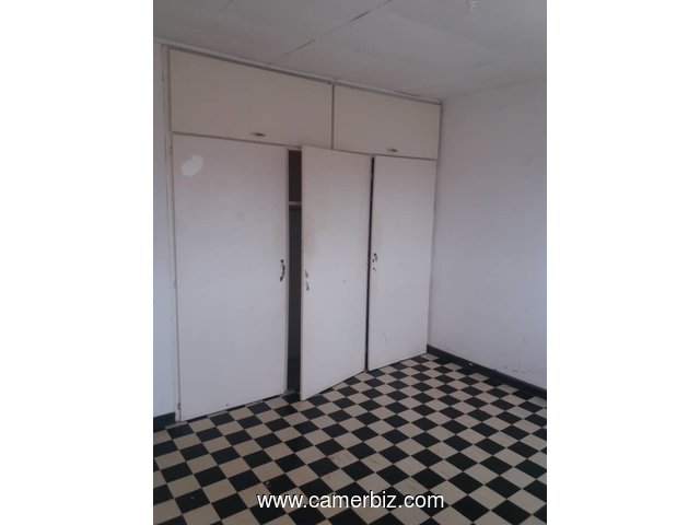 APPARTEMENT MODERNE A LOUER A NSAM 2-Chambres, salon, Cuisine, 2-Douches dans la barrière avec parki - 6178