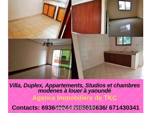STUDIO MODERNE À LOUER À biyemassi (35000) chambre + salon + douche + coin cuisine  loyer: 35000/moi - 6213