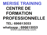 FORMATION GRATUITE A MERISE TRAINING - 6356