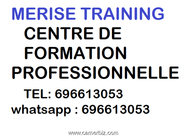 FORMATION GRATUITE A MERISE TRAINING - 6356