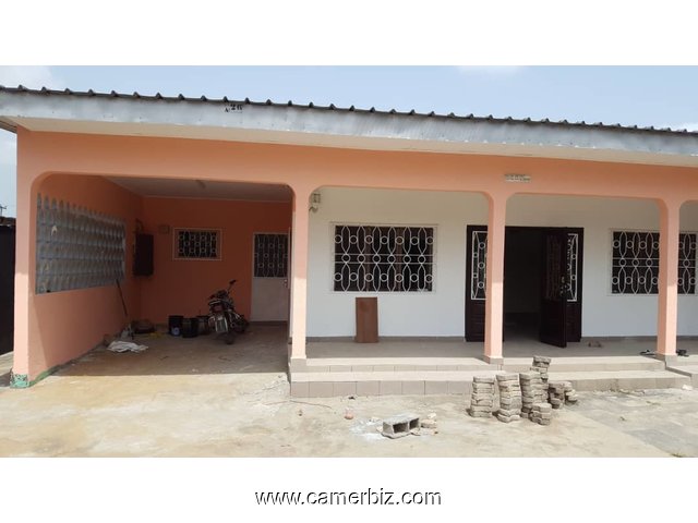 Villa 600m2 a vendre a Bonaberi - 6375