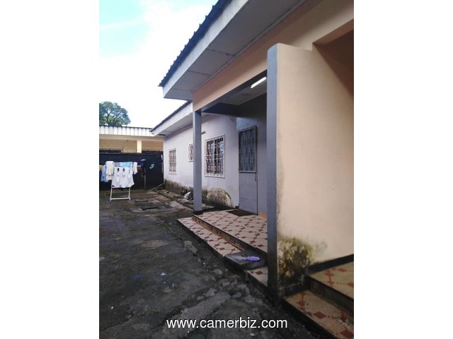 Villa 600m2 a vendre a Bonaberi - 6375