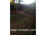 Parcelle à vendre 250m2 Yaounde - 6395