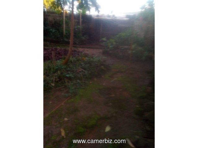 Parcelle à vendre 250m2 Yaounde - 6395