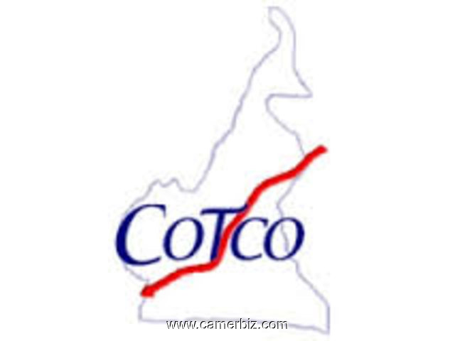 RECHERCHONS LOGISTICIENS – ACHATS – SUPPLY CHAIN pour PROPOSITION LIBRE chez COTCO a Douala - 6996