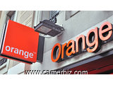 RECHERCHONS INGENIEURS RESEAUX ET TELECOMMUNICATIONS pour PROPOSITION LIBRE chez ORANGE CAMEROUN - 7089