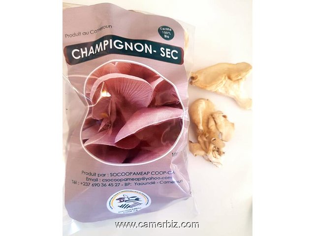 Champignons secs - 7121