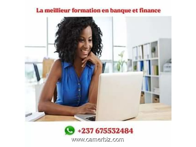 Opportunités d'emploi : Formation en Banque et Microfinance  - 7208