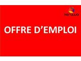 Nicety International Office Cameroun (Societe anglaise) recrute niveau CEP, BEPC, Probatoire, BAC  - 721