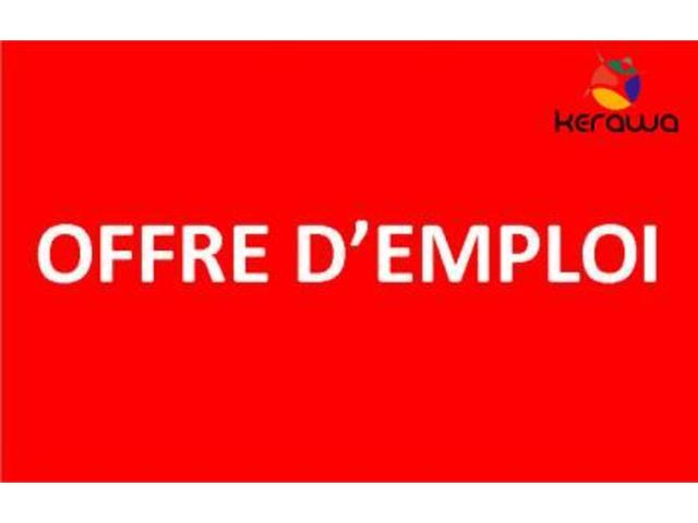 Nicety International Office Cameroun (Societe anglaise) recrute niveau CEP, BEPC, Probatoire, BAC  - 721