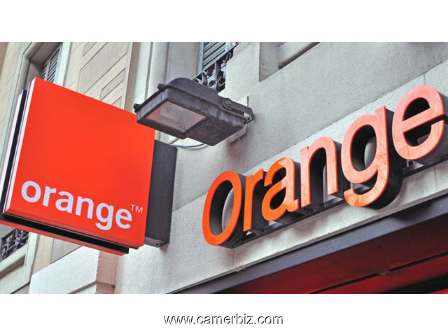 RECHERCHONS CADRES INFORMATIQUES pour PROPOSITION LIBRE au RECRUTEMENT DIRECT chez ORANGE CAMEROUN - 7219