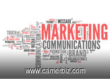Responsable Marketing et Communication - 7306