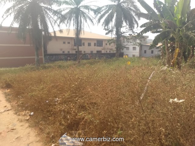 Vente Terrain titré, Yaoundé, Nkomo - 7439
