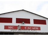 RECHERCHONS AUDITEURS COMPTABLES FINANCIERS pour PROPOSITION LIBRE  chez SIC CACAOS - 7455