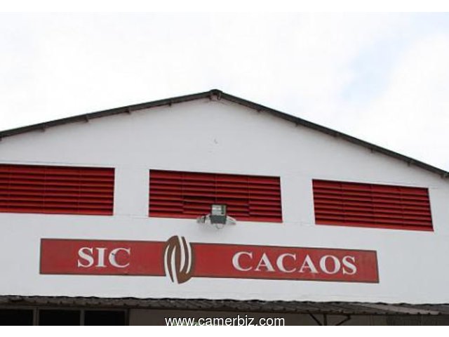 RECHERCHONS AUDITEURS COMPTABLES FINANCIERS pour PROPOSITION LIBRE  chez SIC CACAOS - 7455