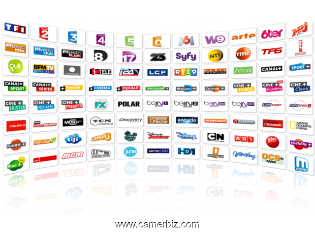  Abonnement IPTV disponible maintenant prix choc 12 mois à 15000 l'annee - 7482