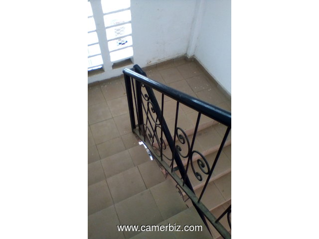 apartments for rent Log Pom Douala - 7604