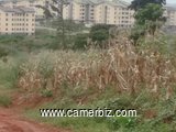 Offrez vous 500m2 titré a Yaoundé (pont emana 1,5km eu goudron ) - 7609